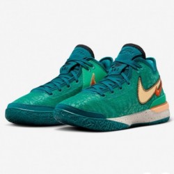 Chaussures de basket-ball NIKE Lebron NXXT Gen (DR8784-301, bleu sarcelle GEODE/teinte melon/vert stade/orange feu de camp)