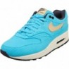 Nike Air Max 1 Premium pour homme