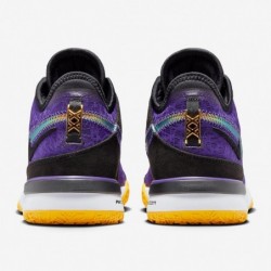 Chaussures de basket-ball NIKE Lebron NXXT Gen (DR8784-500, violet court/chardon clair chiné/or université)