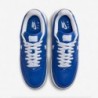 Chaussures Nike Air Force 1 Low EVO pour homme (HF3630-400, Team Royal/Aquarius Blue/Gum Yellow/White)