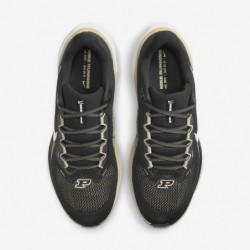 Chaussures de course sur route Nike Pegasus 41 Pegasus 41 pour homme Purdue (HF6353-001, noir/blanc/équipe d'or/blanc)